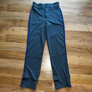 Champro Youth Boys Grey Baseball Pants
• Size Large (Youth Large)